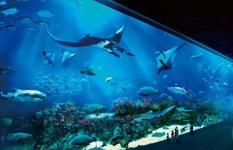 S.E.A. Aquarium