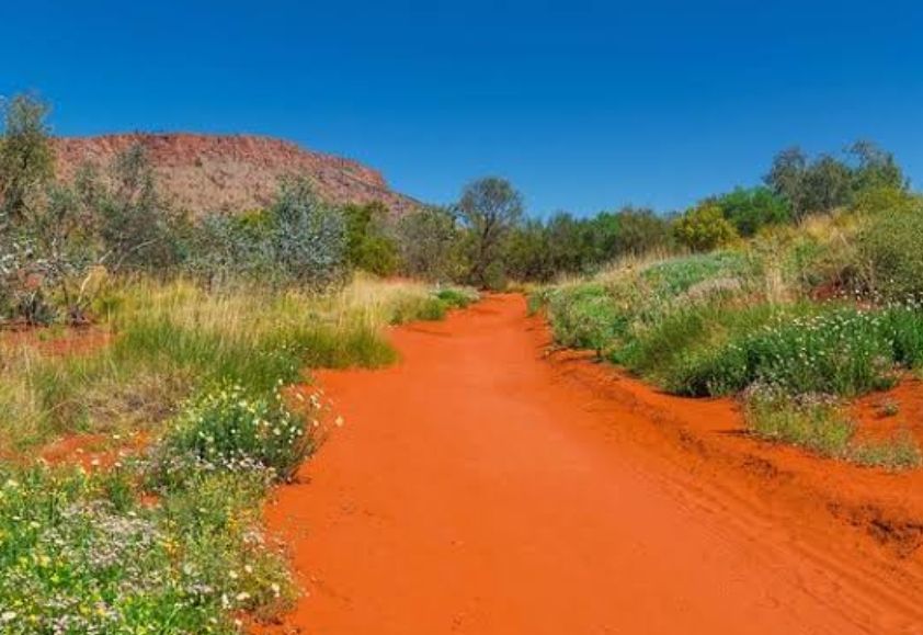 Alice Springs Desert Park