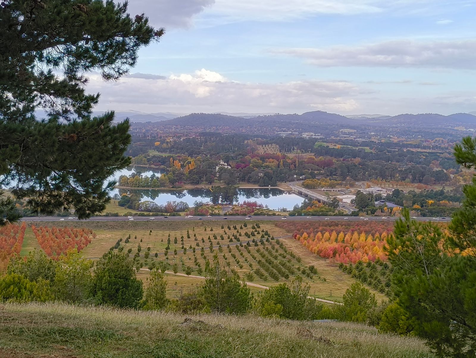 Arboretum