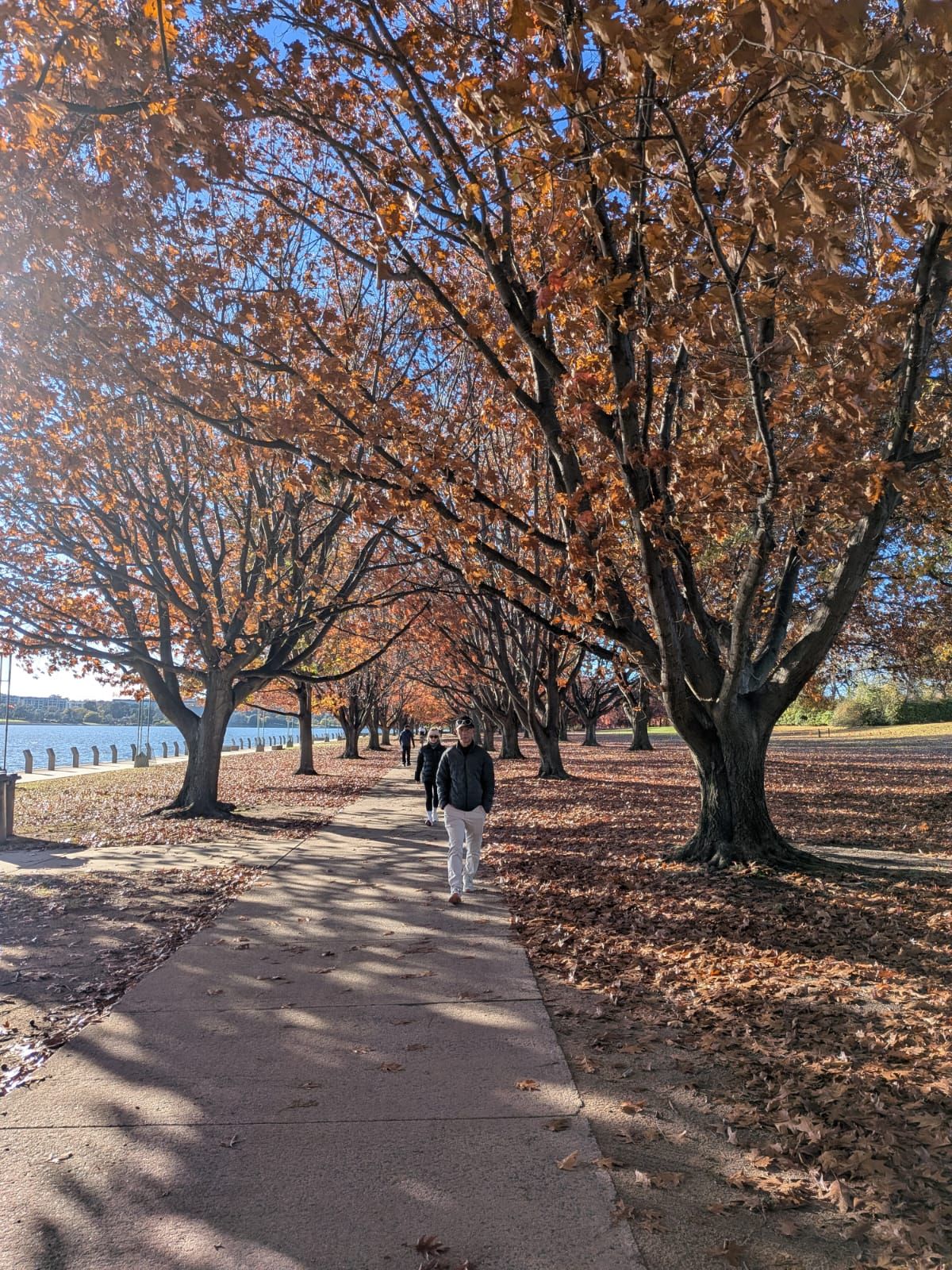 Discover Canberra
